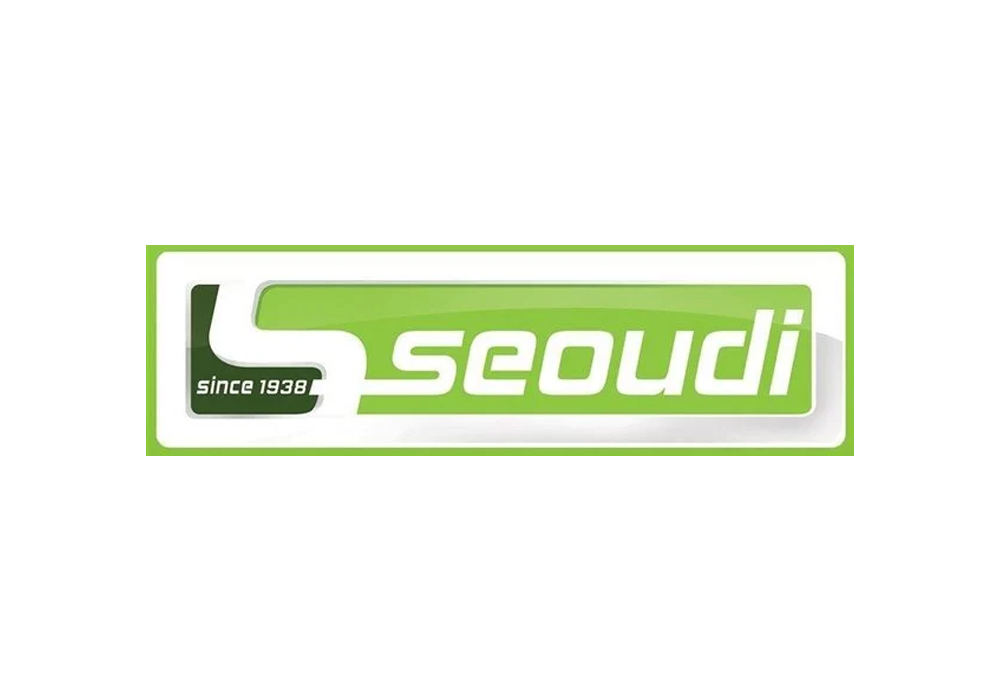 Seoudi Zamalek